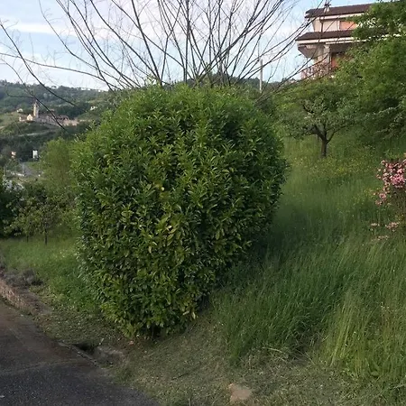 Dom wakacyjny La Casa Rossa